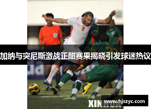 加纳与突尼斯激战正酣赛果揭晓引发球迷热议