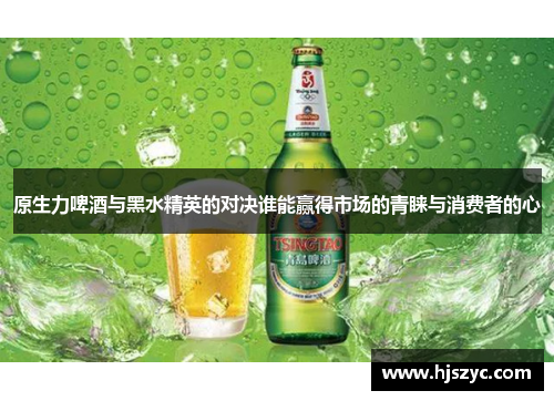 原生力啤酒与黑水精英的对决谁能赢得市场的青睐与消费者的心